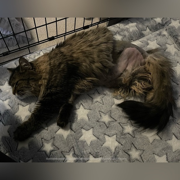 ‘Sally’ Rain Jacket by Burberry - Picture 12 of 16